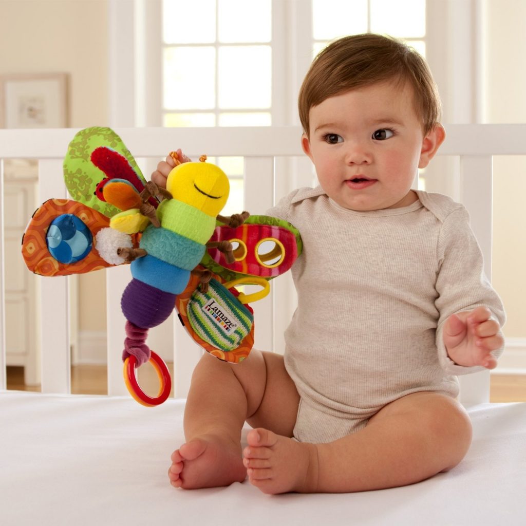 Best Baby Development Toys 24