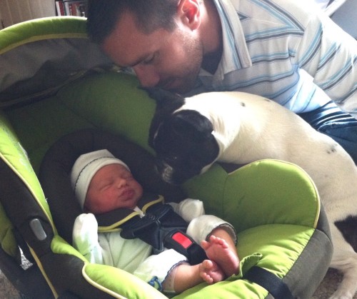 Introducing Your Newborn To Your Dog
